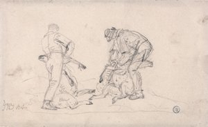 Schafschur von James Ward