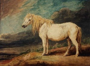 Shetlandpony von James Ward