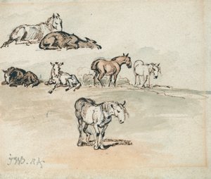 Studien von Pferden von James Ward