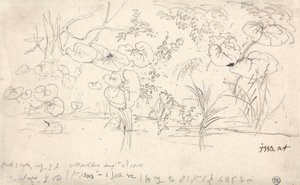 Studien von Pflanzen, 2. August 1815 von James Ward