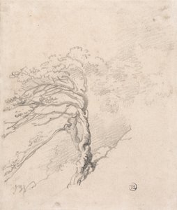 Baum auf einem Hügel von James Ward