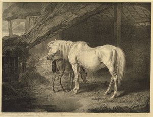 Primel und Fohlen, aus Berühmte Pferde, eine Serie von vierzehn Rennbildern, veröffentlicht vom Künstler, 1823-24