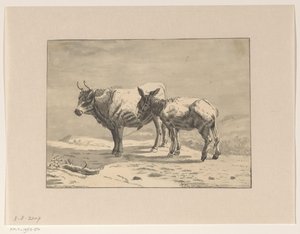 Stier und ein Esel von Jan Bedijs Tom
