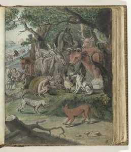 Würfelnde Tiere