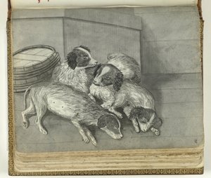Hunde