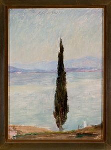 Zypresse. Aus der Reise nach Konstantinopel von Jan Ciągliński