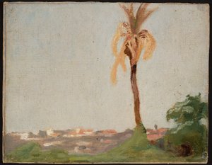 Grab des Heiligen - Landschaft mit Palme. Aus einer Reise nach Indien von Jan Ciągliński