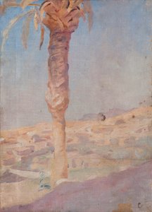 Spanien (Crevillente) von Jan Ciągliński