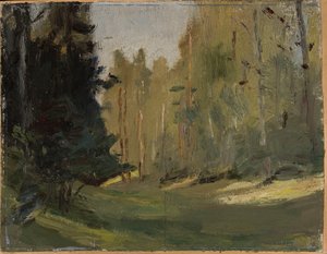 Mariino - Lichtung im Wald von Jan Ciągliński