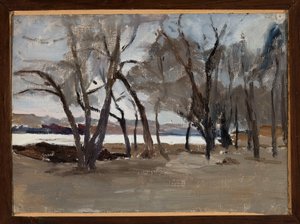 Winterlandschaft - Park auf der Peterinsel von Jan Ciągliński