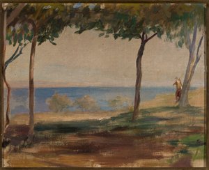 Blick auf Kleinasien. Von einer Reise nach Konstantinopel von Jan Ciągliński