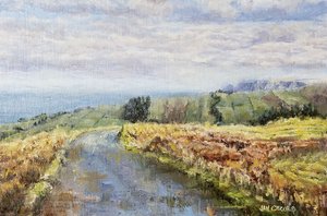 Herbstliche Küstenstraße von Jan Clizer