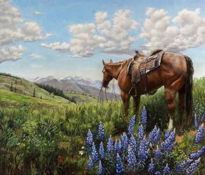 Pferd auf Bergweide von Jan Clizer