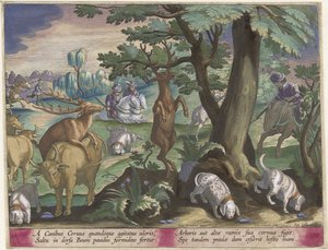 Hirschjagd mit Hunden