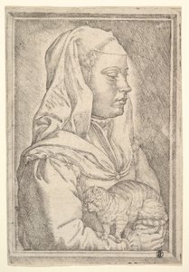Mädchen mit einer Katze, 1546 von Jan Cornelisz Vermeyen
