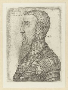 Porträt von Heinrich II von Jan Cornelisz Vermeyen