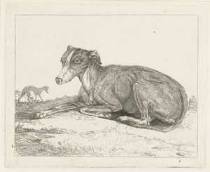 Windhunde