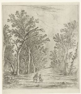 Waldweg