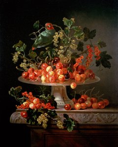 Ein Stillleben mit Kirschen und Johannisbeeren mit einem Papagei von Jan Frans van Son