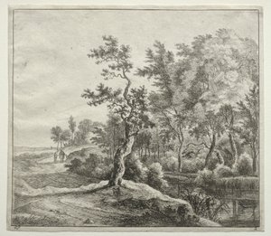 Die Serpentinenstraße von Jan Hackaert