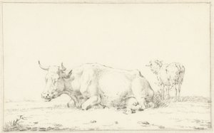 Liegende Kuh nach links und rechts ein Schaf von Jan Kobell (II)