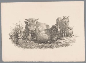 Kuh, Widder und zwei Schafe (Beesten Studien door J. Kobell naar Paul Potter Nr. 1)