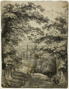 Blick auf die Stadt von der Straße auf dem Hügel von Jan Looten