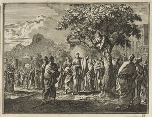 Zachäus im Feigenbaum von Jan Luyken