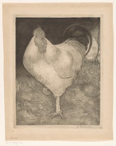 Hahn auf einem Bein von Jan Mankes (signed by artist)