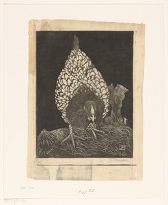 Silberwyandotte