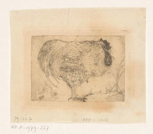 Zusammengekauerter Hahn von Jan Mankes