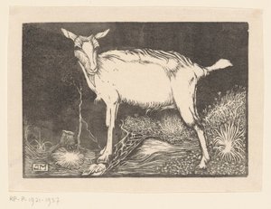 Weiße Ziege von Jan Mankes