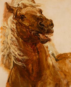 Pferdekopfstudy für das Gemälde "Zamoyski bei Byczyna" von Jan Matejko