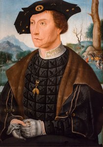 Porträt von Jan van Wassenaer, Vizegraf von Leiden, Gouverneur von Friesland von Jan Mostaert