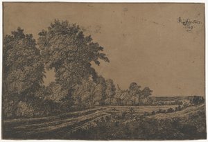 Landweg mit Bäumen von Jan Ruyscher