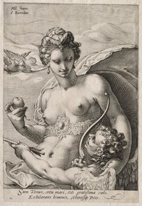 Venus und Amor von Jan Saenredam