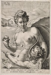 Venus und Amor, ca. 1595 von Jan Saenredam
