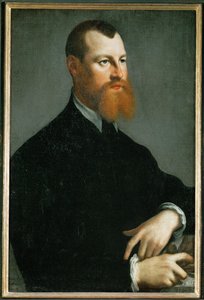 Porträt eines Mannes mit rotem Bart von Jan Stephen Calcar