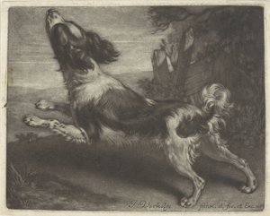 Rennender Hund, möglicherweise ein Spaniel von Jan Verkolje (I)