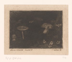 Pilze von Jan Veth (signed by artist)