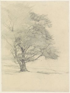 Die Malerbuche bei Hoog-Soeren von Jan Veth