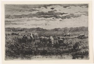 Landschaft mit Schafen
