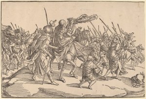 Die Nachzügler