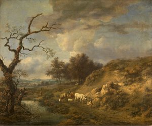  von Jan Wijnants