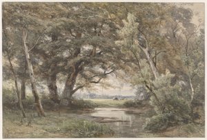 Wasser unter Bäumen am Ende eines Waldes von Jan Willem van Borselen