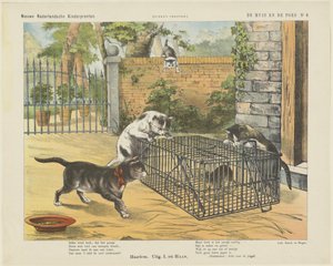 Die Maus und die Katze