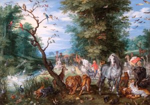 Betreten der Arche
