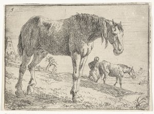 Stehendes Pferd (Landschaften mit Pferden, Serientitel)