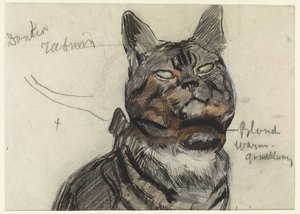 Katze, mit Farbanmerkungen