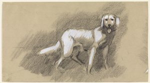 Stehender Hund